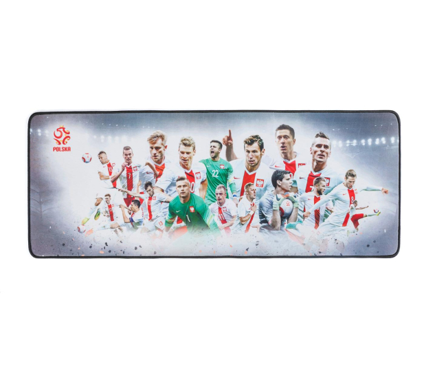 MODECOM PM-MC-101-PL-RP2 - 434017 - zdjęcie